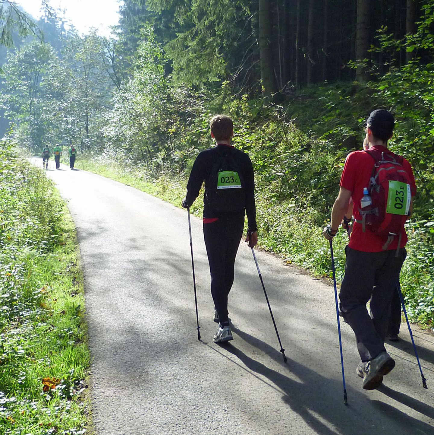 Wanderer im Harz beim Trailwalker