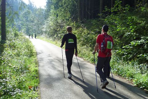 Wanderer im Harz beim Trailwalker