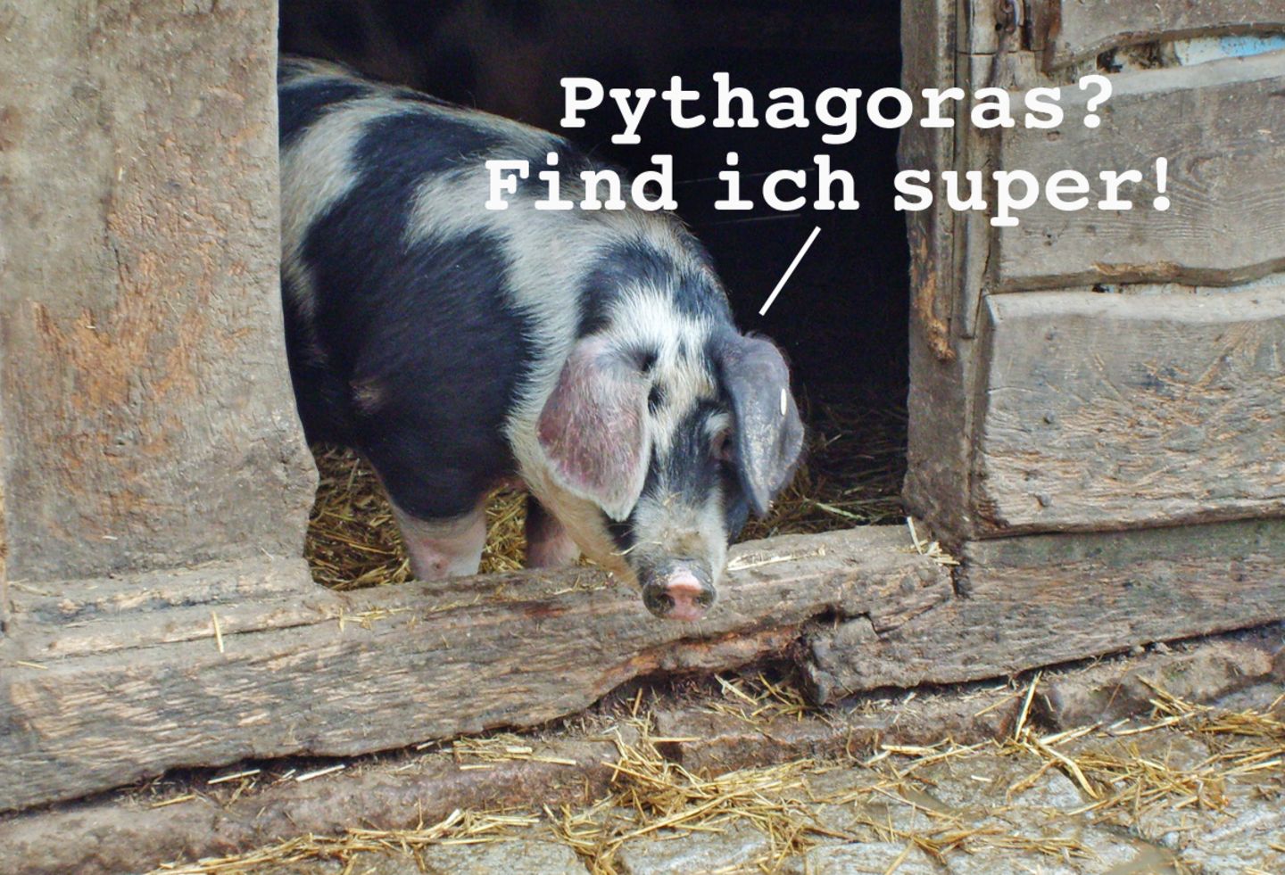 Einfach vegan: Vegan – eine antike Idee