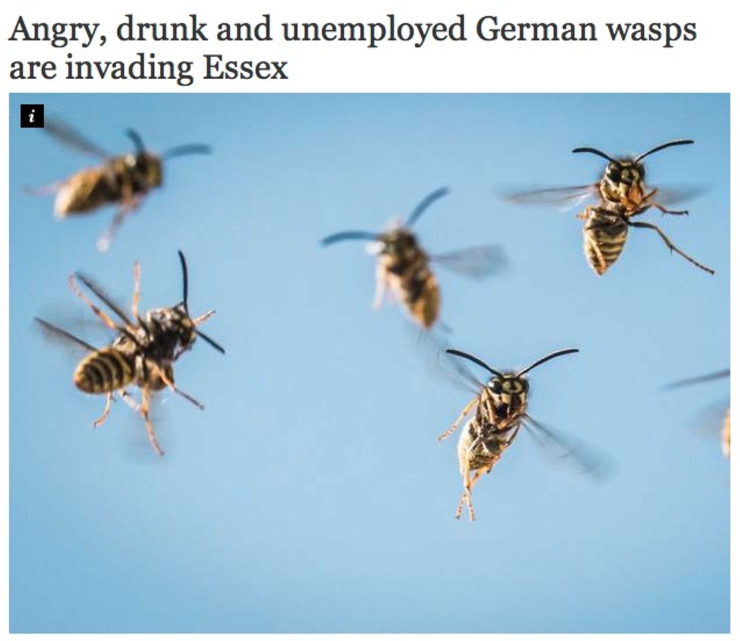 Last Call: Der Luftangriff der deutschen Wespen