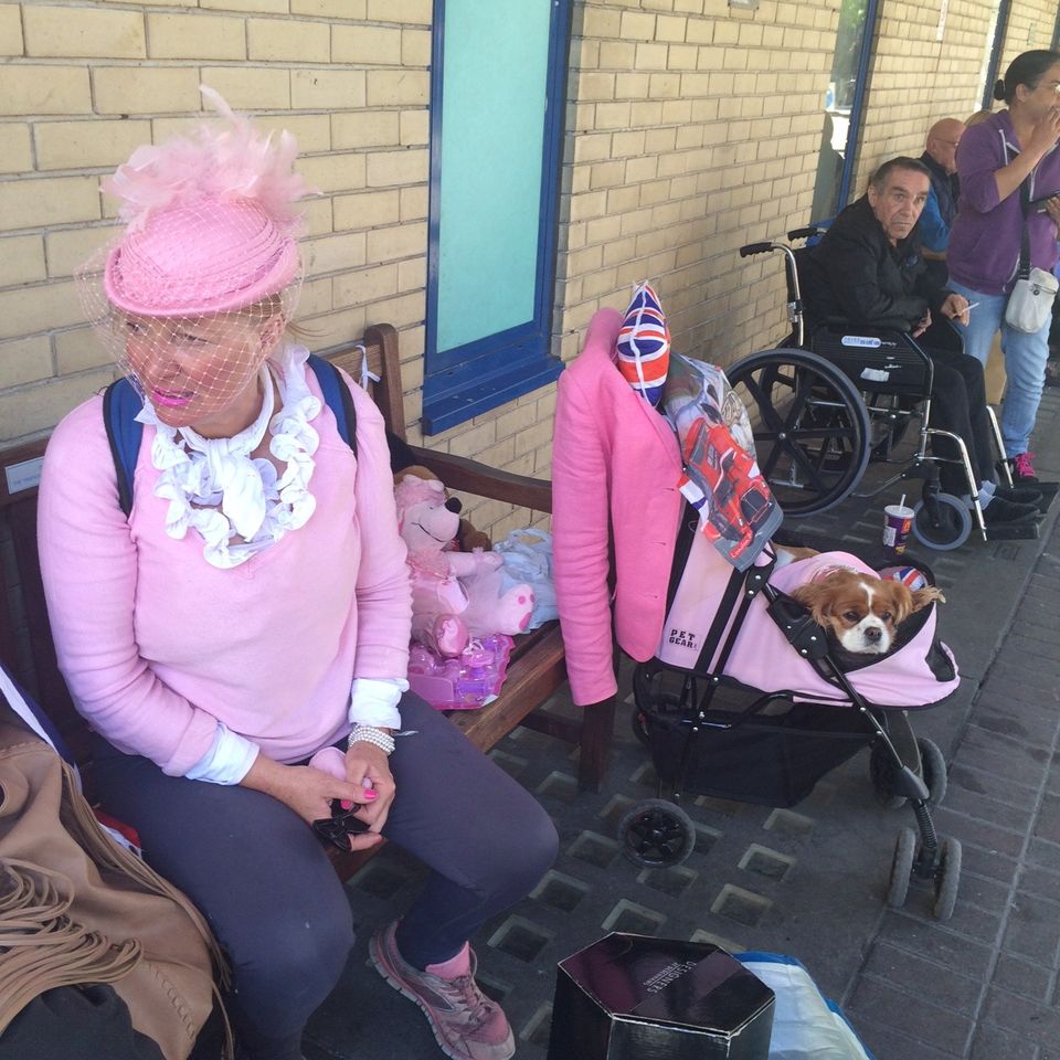 Last Call: Miss Daley, einstige Miss Wales, mit Hund Camilla (rechts). Dahinter ein englischer Patient Last Call: Miss Daley, einstige Miss Wales, mit Hund Camilla (rechts). Dahinter ein englischer Patient
