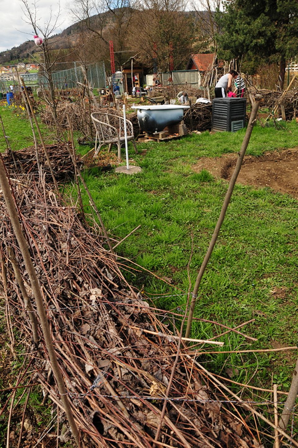 Gutes aus dem Küchengarten: Benjeshecke im Vordergrund. Mutter Erde Garten, Graz.