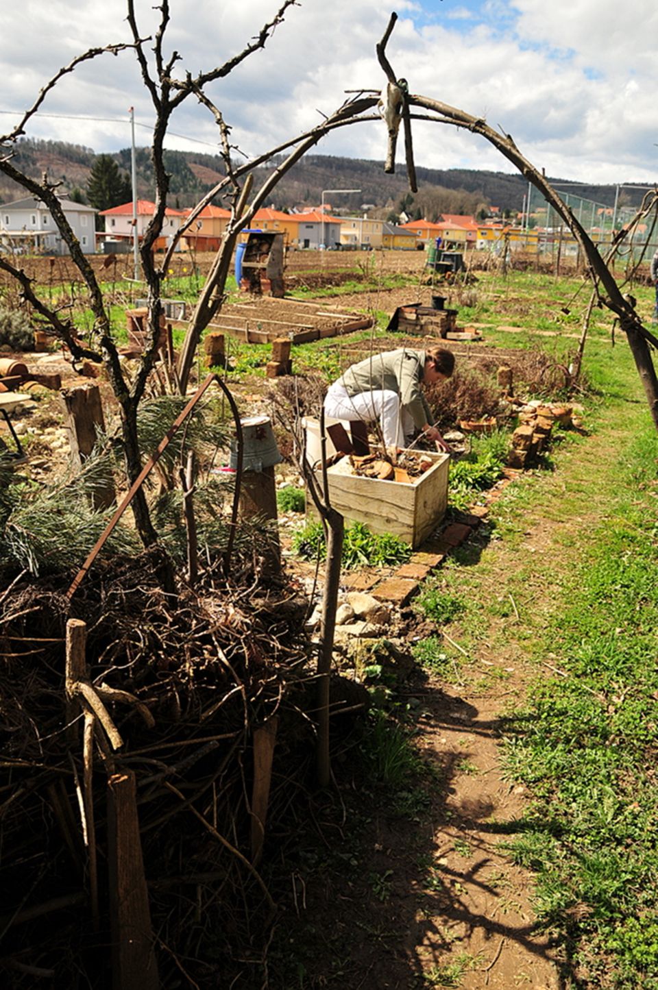 Gutes aus dem Küchengarten: Unter dieser Gartenfläche fahren Autos. Er liegt auf der Ausfahrt der A9 Autobahn vor dem Verteilerkreis Graz West.
