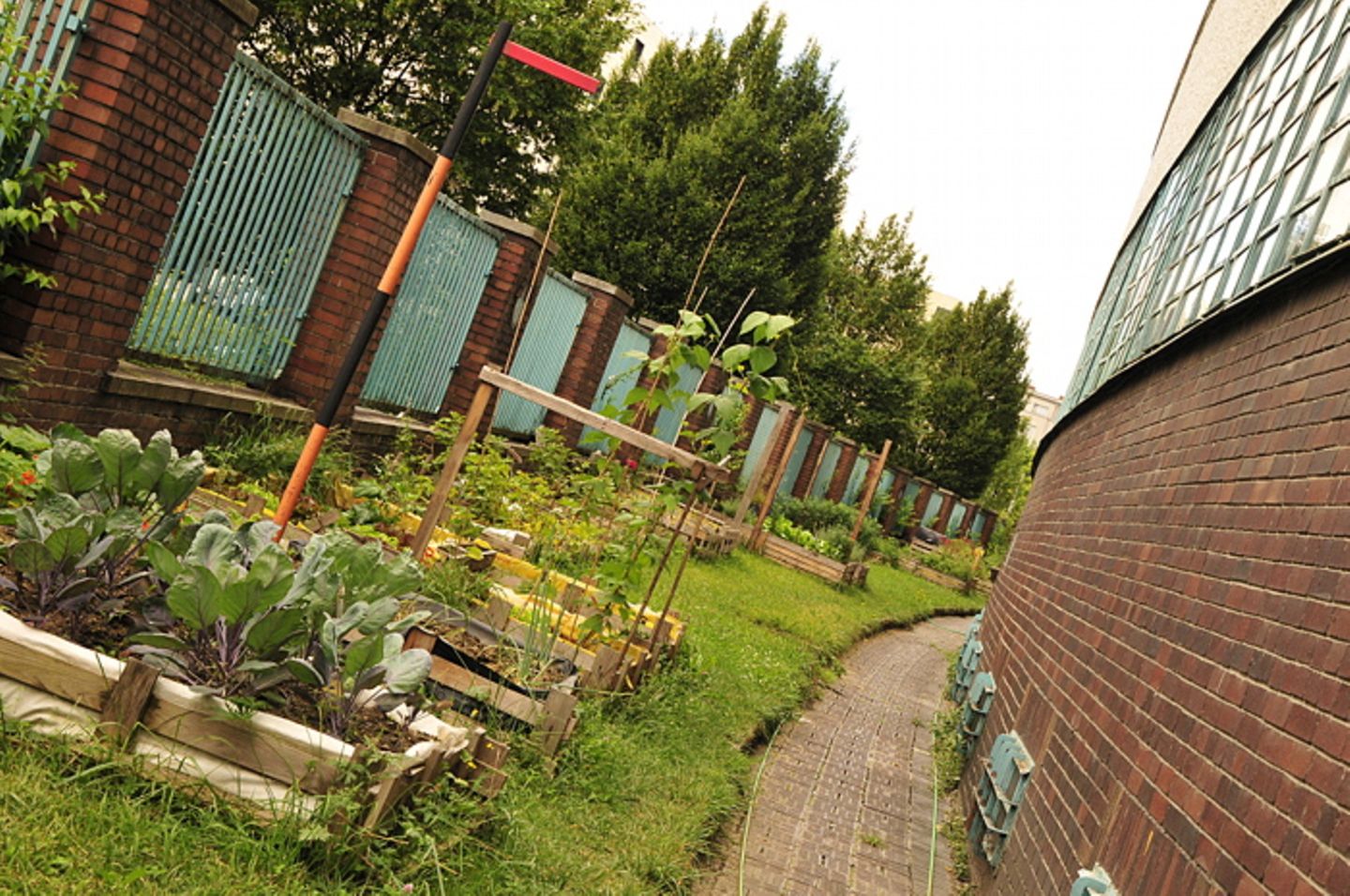 Gutes aus dem Küchengarten: Sind „Local Food“ und „Urban Garden“ nur etwas für New York?