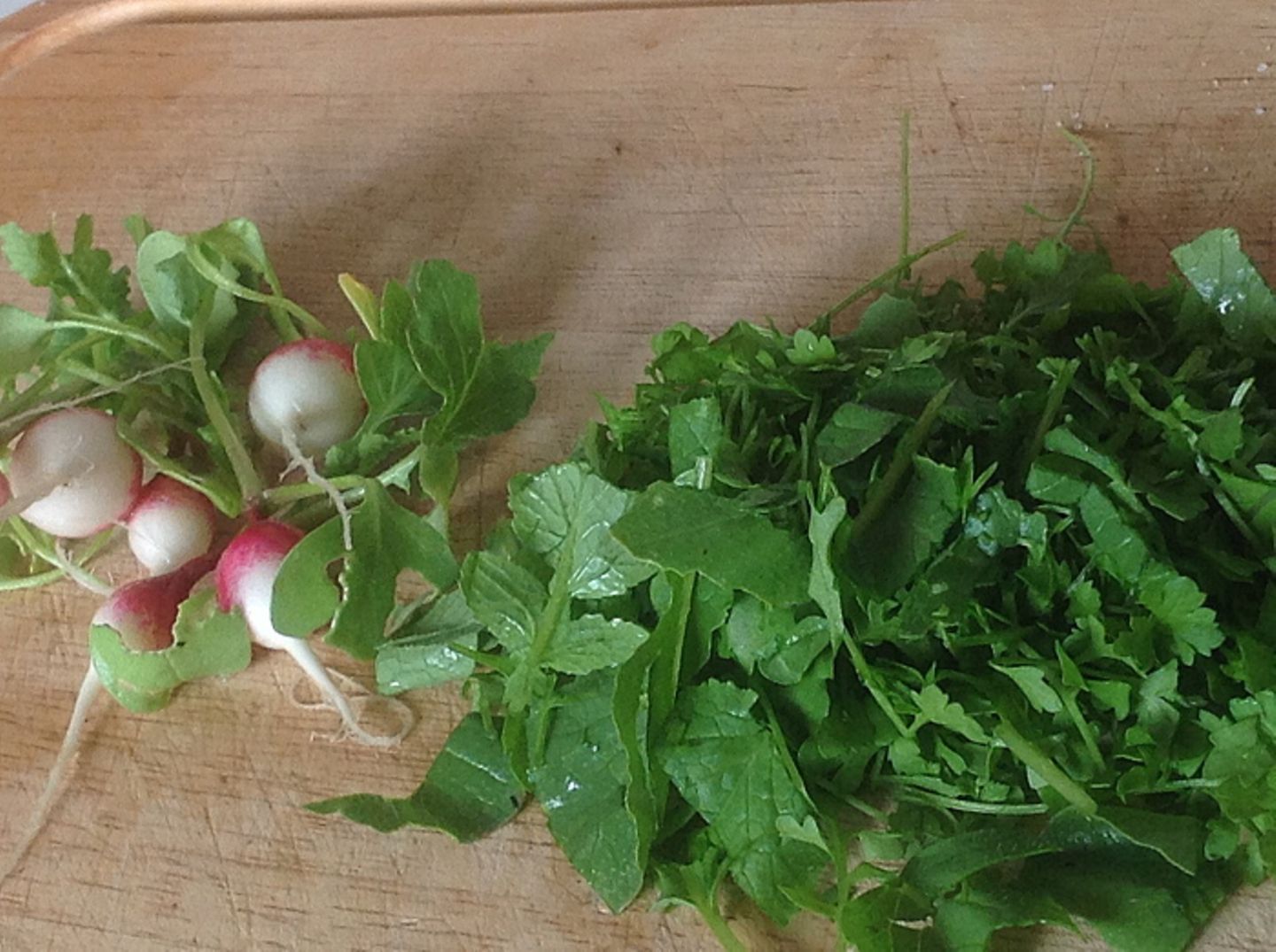 Gutes aus dem Küchengarten: Frisches Grün aus dem „Spät-Beet“