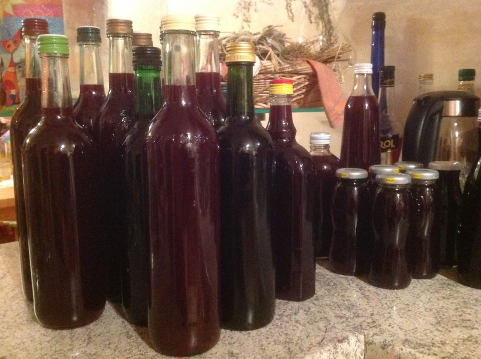 Gutes aus dem Küchengarten: Insgesamt mehr als 20 Flaschen Traubensaft eingekocht. 16 waren für mich bestimmt. Foto: Wohofsky-Images Gutes aus dem Küchengarten: Insgesamt mehr als 20 Flaschen Traubensaft eingekocht. 16 waren für mich bestimmt. Foto: Wohofsky-Images