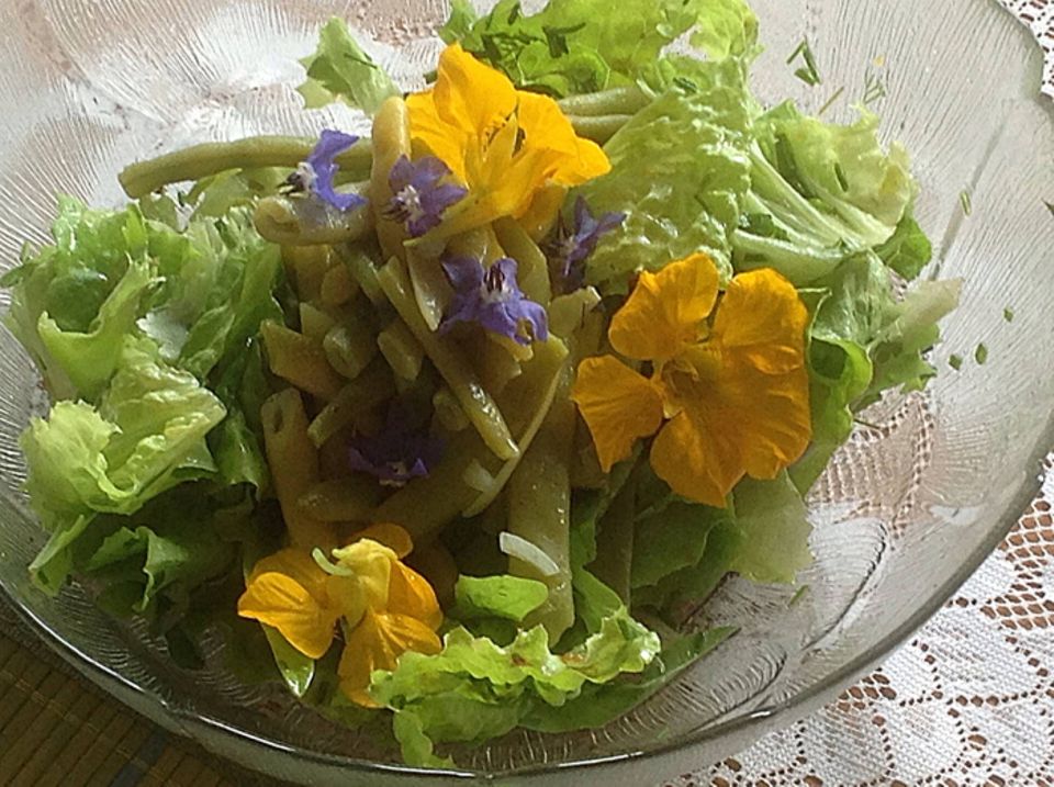 Gutes aus dem Küchengarten: So frischen Salat bekommt man nicht zu kaufen. Das gibt es nur direkt aus dem Küchengarten. Foto: Wohofsky-Images Gutes aus dem Küchengarten: So frischen Salat bekommt man nicht zu kaufen. Das gibt es nur direkt aus dem Küchengarten. Foto: Wohofsky-Images