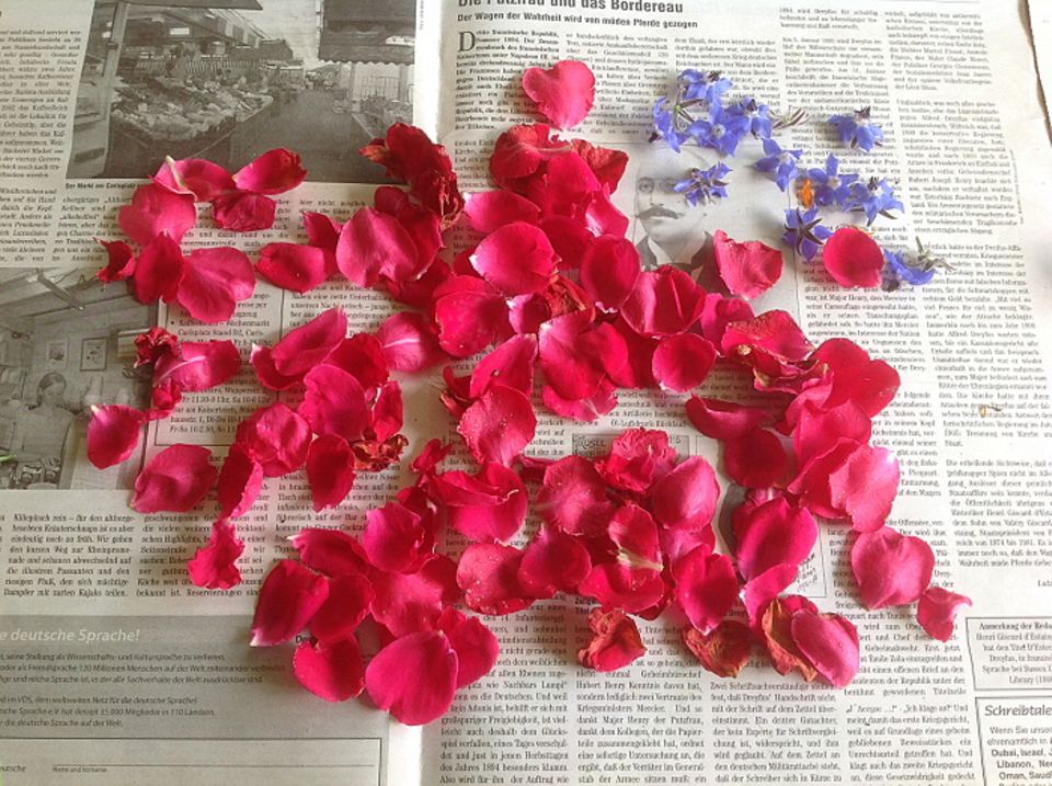Gutes aus dem Küchengarten: Blüten auf Zeitungspapier trocknen. Foto: Wohofsky-Images