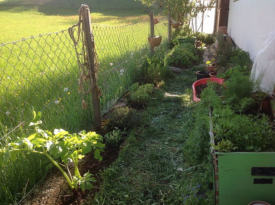 Gutes aus dem Küchengarten: Mein Küchen-Garten im April, Foto: Wohofsky-Images Gutes aus dem Küchengarten: Mein Küchen-Garten im April, Foto: Wohofsky-Images
