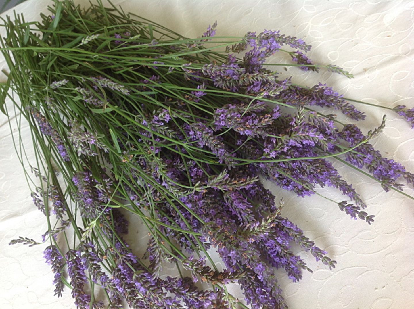 Gutes aus dem Küchengarten: Lavendel-Träume