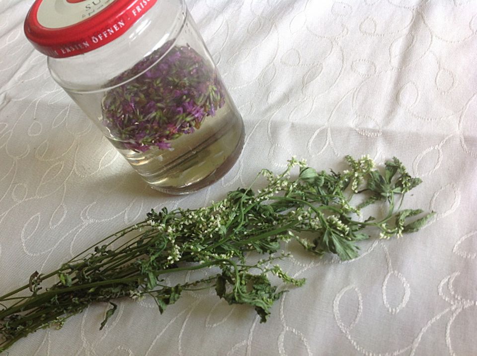 Gutes aus dem Küchengarten: Lavendelessig wird in einem Glas angesetzt. Steinklee hilft gegen Motto im Schrank. Foto: Wohofsky-Images