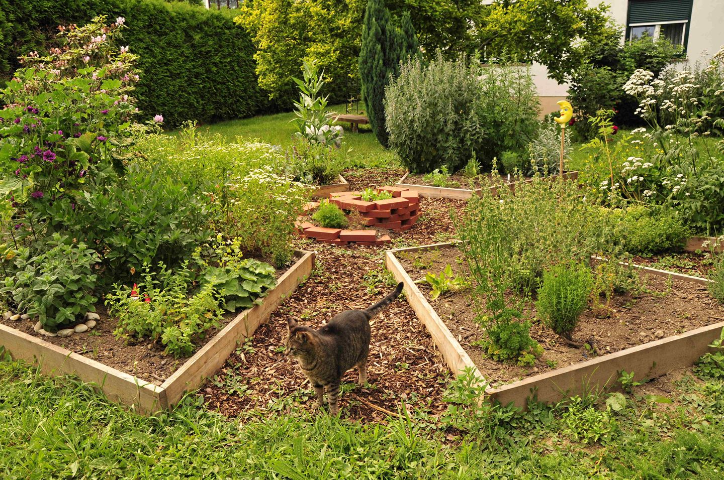 Gutes aus dem Küchengarten: Planeten im Garten