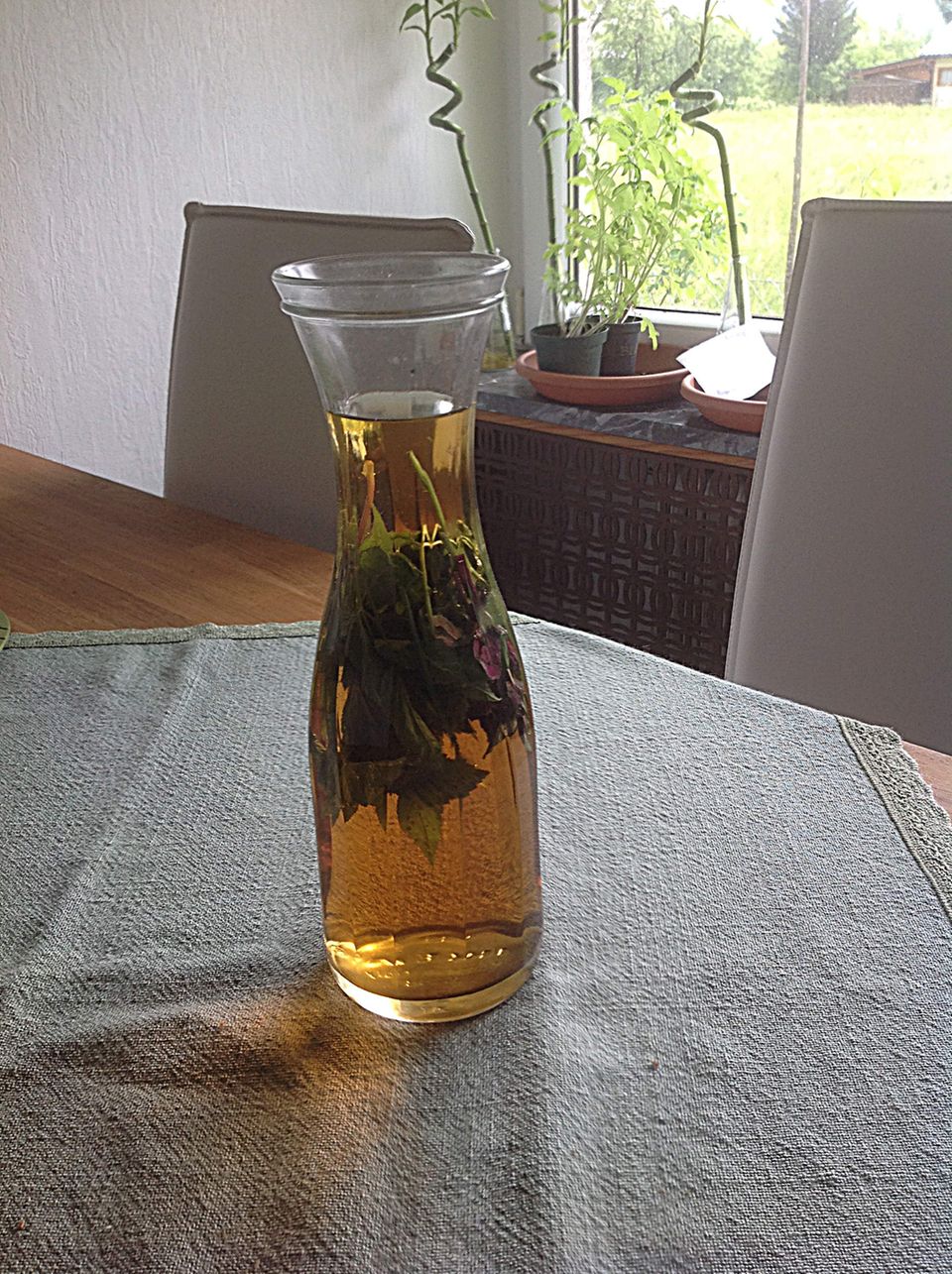 Gutes aus dem Küchengarten: Wiesen-Dudler, wilde Variante des österreichischen Almdudlers. Foto: AWohofsky 2014 Gutes aus dem Küchengarten: Wiesen-Dudler, wilde Variante des österreichischen Almdudlers. Foto: AWohofsky 2014