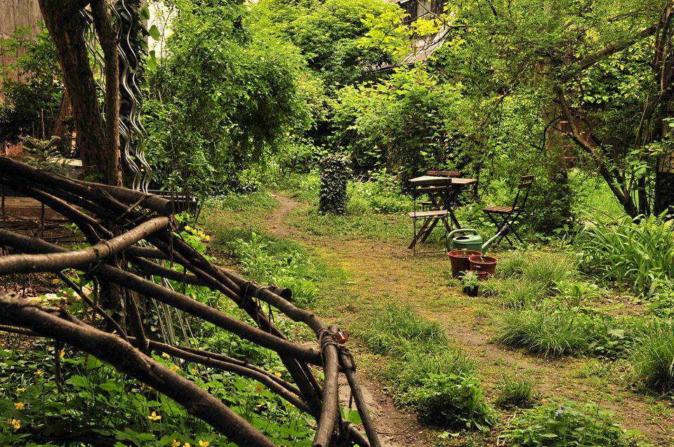 Gutes aus dem Küchengarten: Grün paradiesisch still. Rikis Wildkräutergarten. Foto: AWohofsky 2014 Gutes aus dem Küchengarten: Grün paradiesisch still. Rikis Wildkräutergarten. Foto: AWohofsky 2014