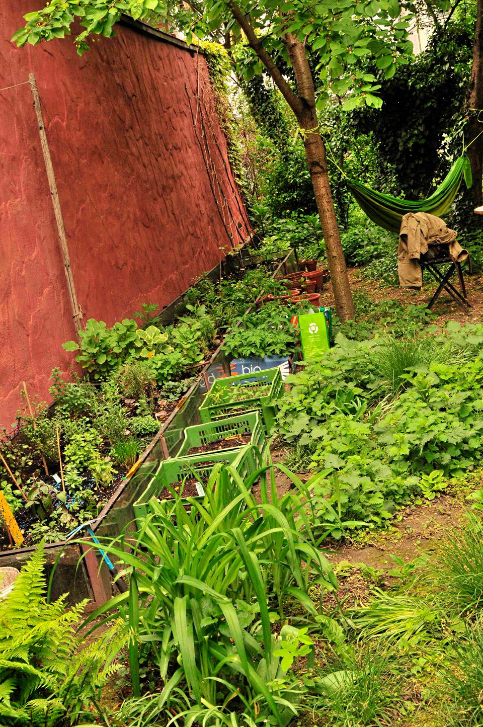 Gutes aus dem Küchengarten: Urbanes Gärtnern. Foto: AWohofsky 2014 Gutes aus dem Küchengarten: Urbanes Gärtnern. Foto: AWohofsky 2014