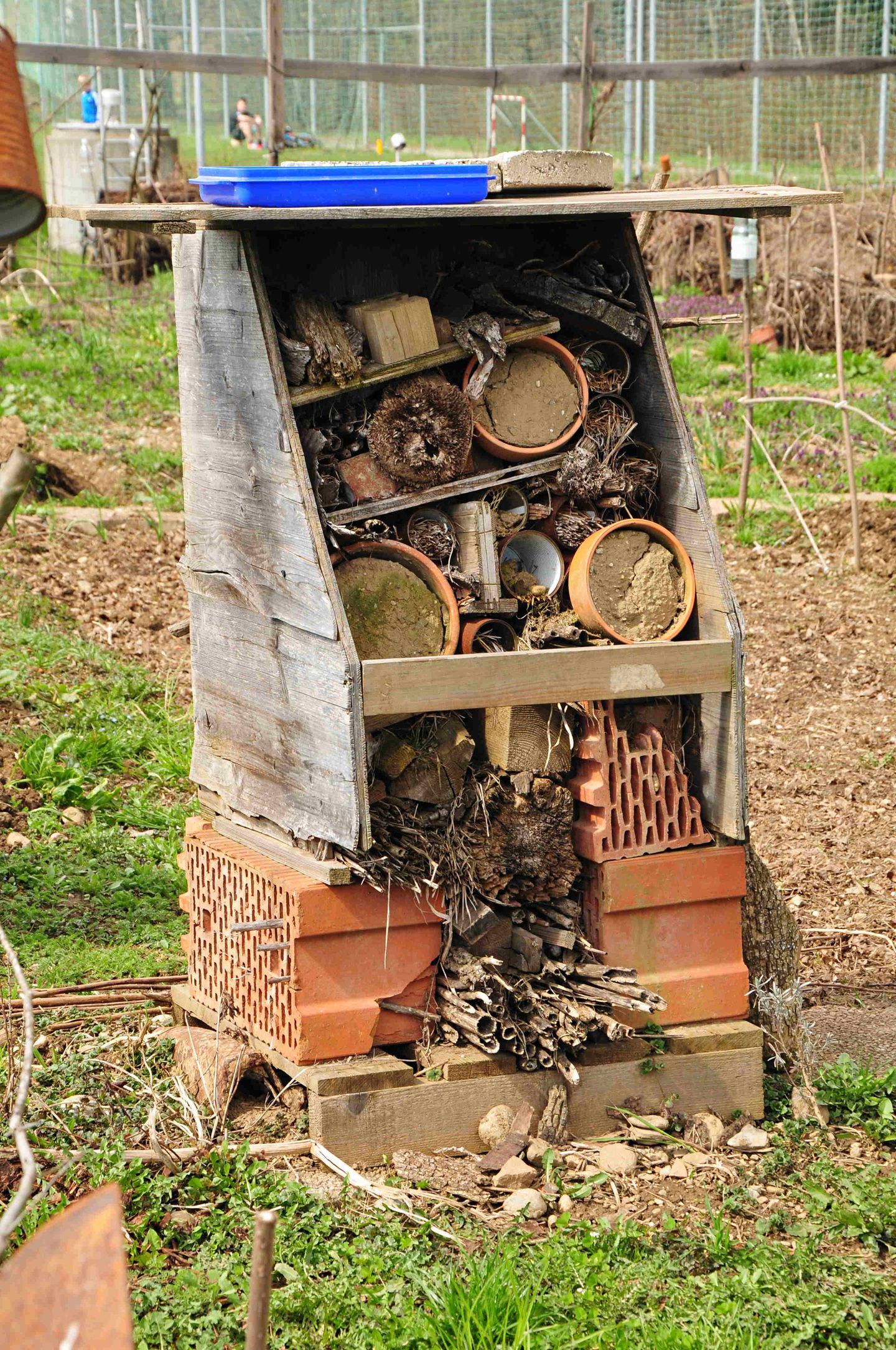 Gutes aus dem Küchengarten: Summ, Summ – Auch Wildbienen brauchen Häuser