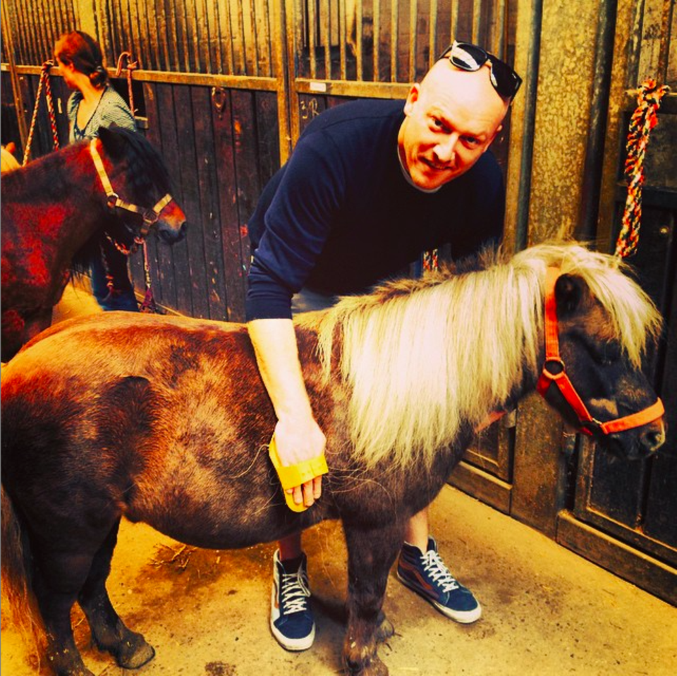 Daddylicious: Das Leben ist ein Ponyhof!
