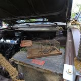 Hier sind Nager unerwünscht.