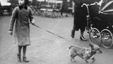 Königin Elizabeth II. als junges Mädchen mit einem Corgi in London