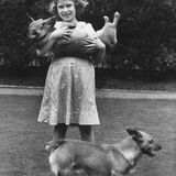 Königin Elizabeth II. 1936 mit zwei Corgis