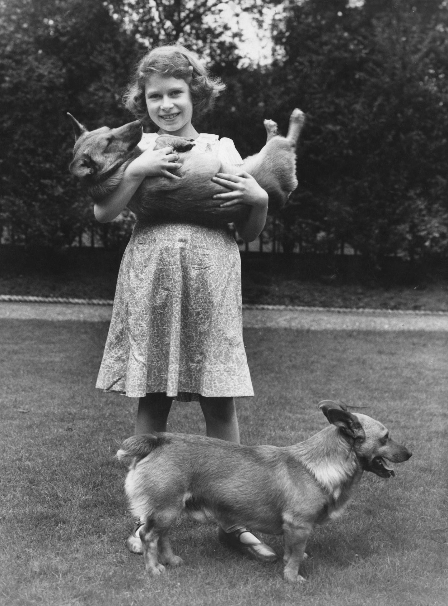 Königin Elizabeth II. 1936 mit zwei Corgis