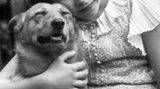 Elizabeth mit einem weiteren Corgi 1936