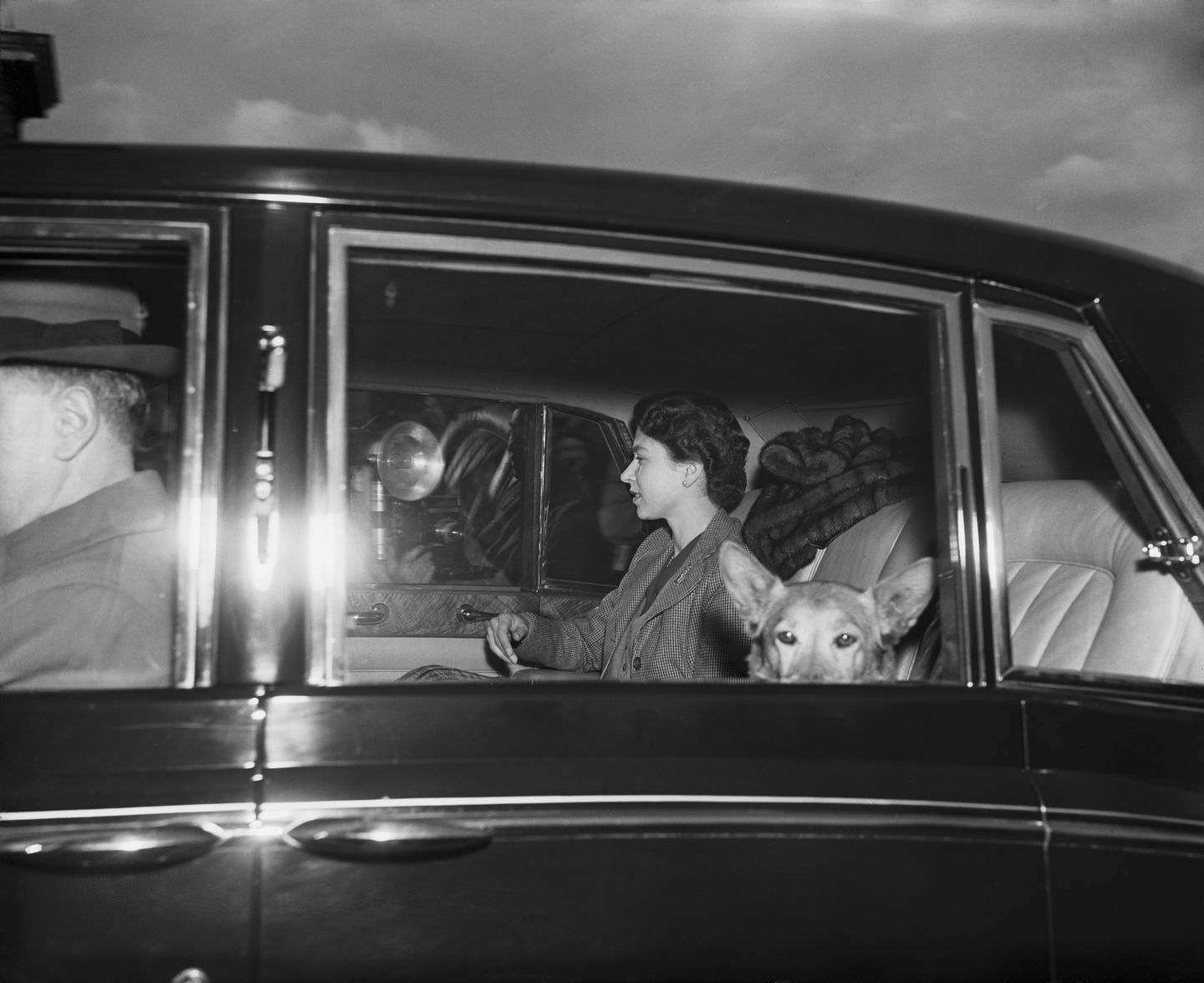 Die Königin Elizabeth II. mit einem Corgi im Auto 1955