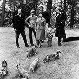 Die königliche Familie mit Hunden