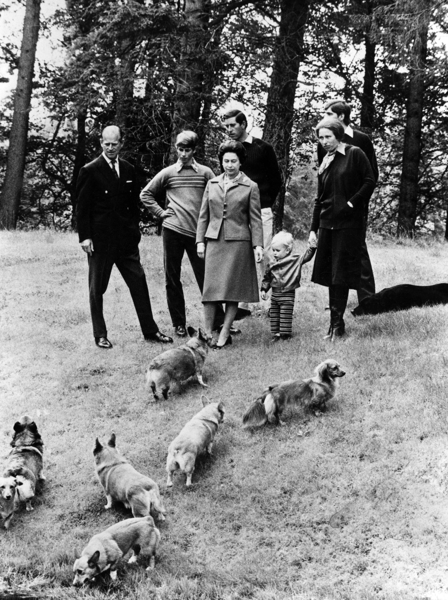Die königliche Familie mit Hunden
