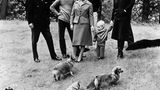 Die königliche Familie mit Hunden