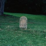 Drei Grabsteine von verstorbenen Hunden