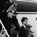 Zwei Diener der Queen tragen zwei Corgis 1983 aus einem Flugzeug