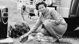 Königin Elisabeth II mit einem Corgi 1984 im Windsor Great Park