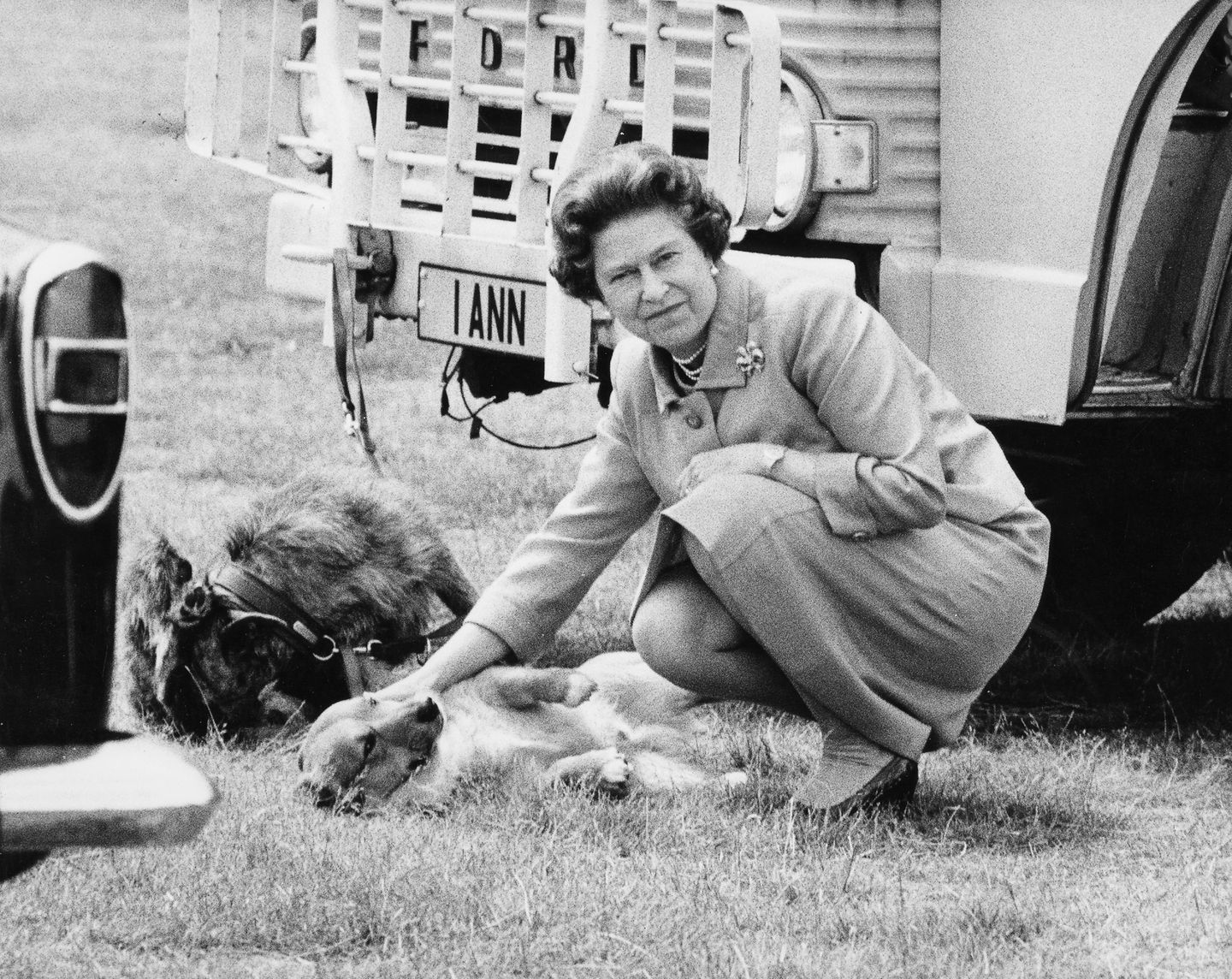 Königin Elisabeth II mit einem Corgi 1984 im Windsor Great Park