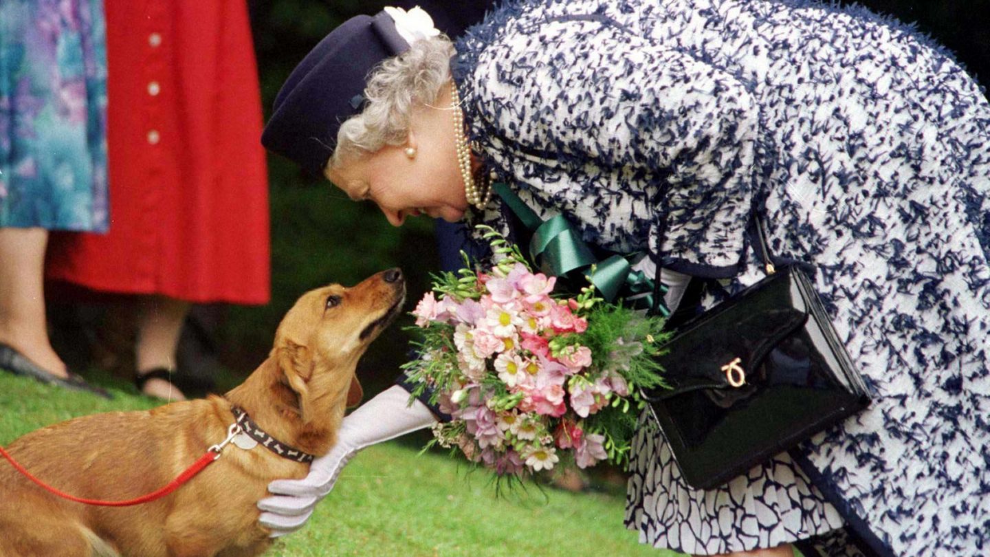 Queen Elizabeth II. und ihre Wie die Königin auf den Hund kam