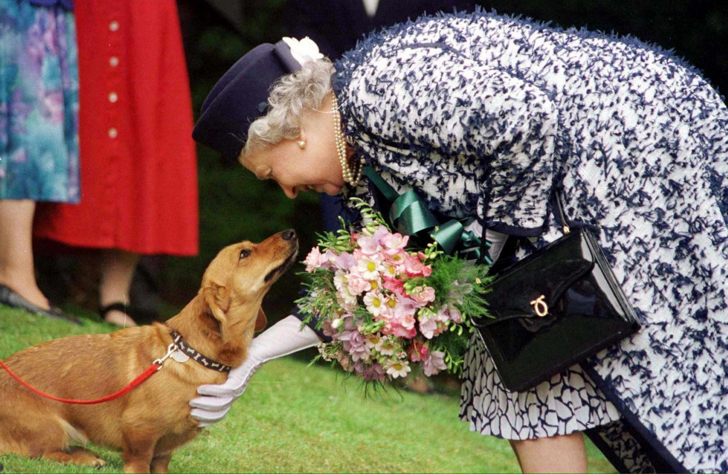 Königin Elisabeth streichelt 1998 einen Corgi