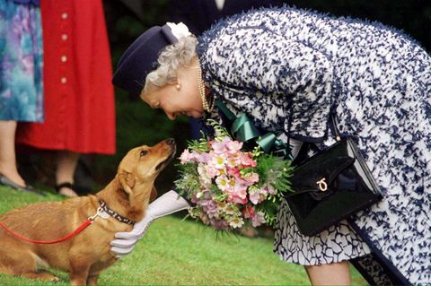 Königin Elisabeth streichelt 1998 einen Corgi