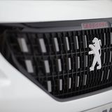 Der Kühlergrill ist neu.