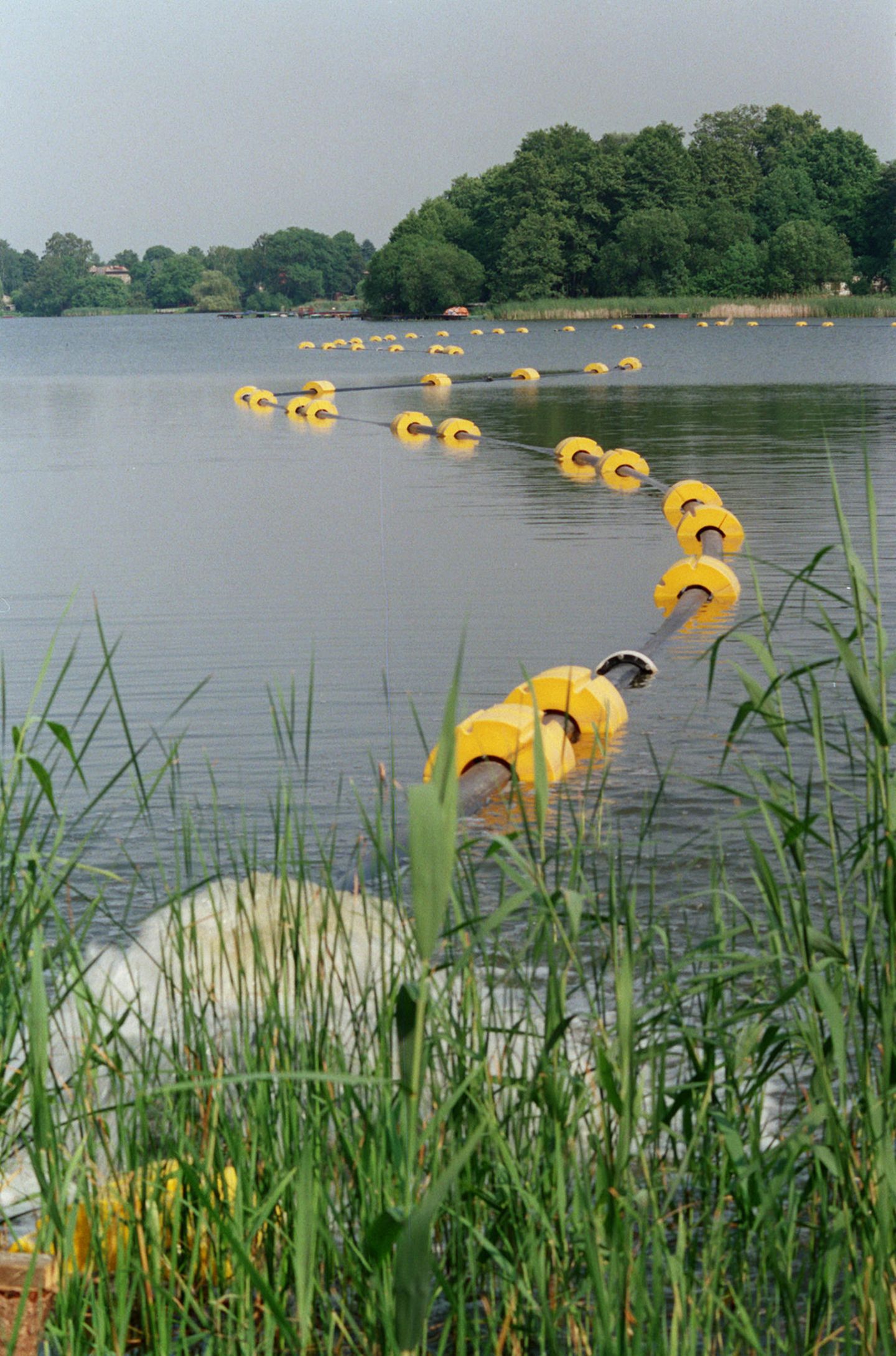 Der Falkenhagener See