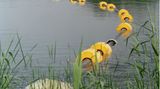 Der Falkenhagener See