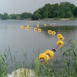 Der Falkenhagener See