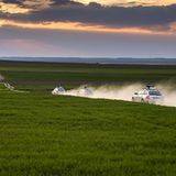 Skoda Euro Trek 2016