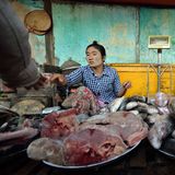 Marktfrauen mit Fisch in Nyaungu