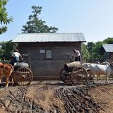 Zwei Ochsenkarren am Brunnen