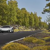 328 Kilometer pro Stunde ist er schnell.