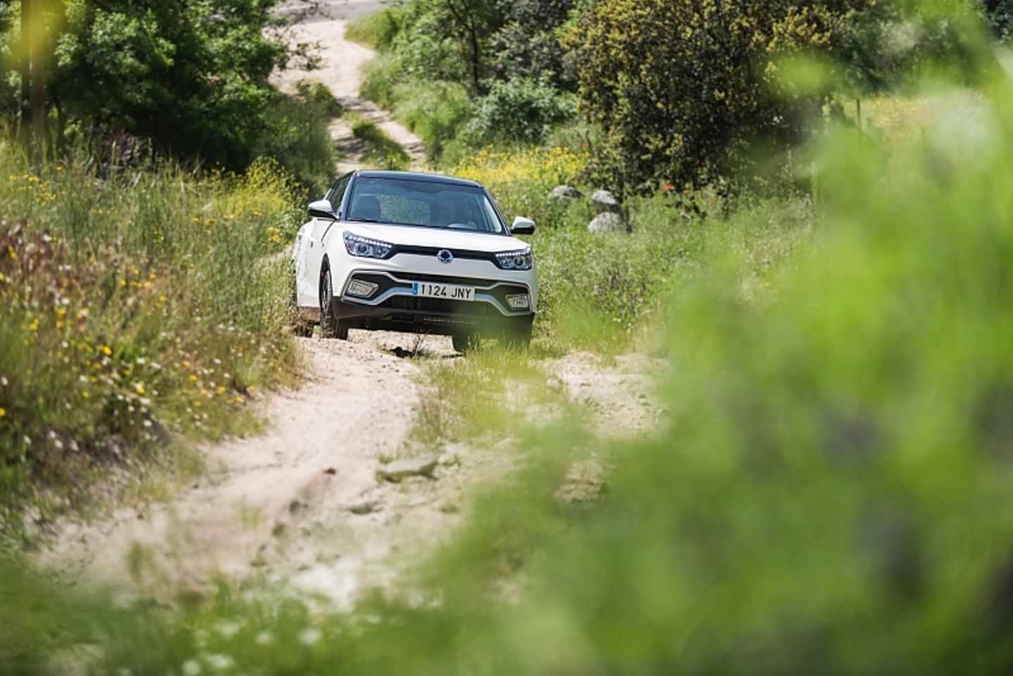 SsangYong XLV