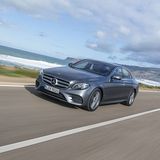 1,8 Tonnen bringt er auf die Waage.