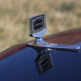 Das Kühler-Emblem zeigt den Status