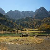 Via Alpina (Roter Weg)  2455 km, 161 Etappen  Route: Ein Weg, der den gesamten Alpenbogen quert. Weit weg vom Gedränge führt die Route durch die abgelegenen Dörfer der Julischen und Karnischen Alpen, des Tessins und der Westalpen. Der Fernwanderweg überquert 44 Mal die nationalen Grenzen. Militärruinen und Gedenktafeln erinnern an den Frontverlauf des Ersten Weltkriegs.  Start: Triest (I)  Ziel: Monaco (MC)  Anforderungen: Die Wege sind technisch nicht anspruchsvoll und allen Wanderern zugänglich. Allerdings spricht die gewaltige Gesamtdistanz für sich.  Infos: www.via-alpina.org