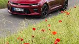 Parksensoren vorne fehlen in der Ausstattungsliste